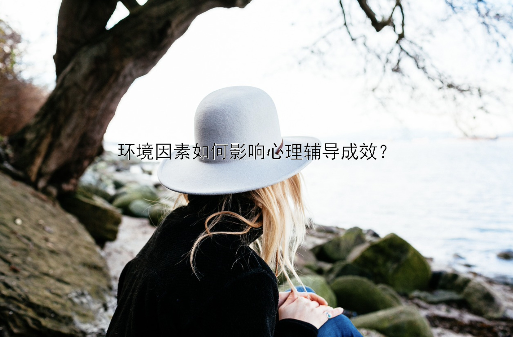 环境因素如何影响心理辅导成效？