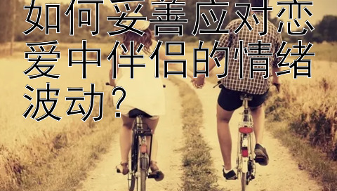 如何妥善应对恋爱中伴侣的情绪波动？