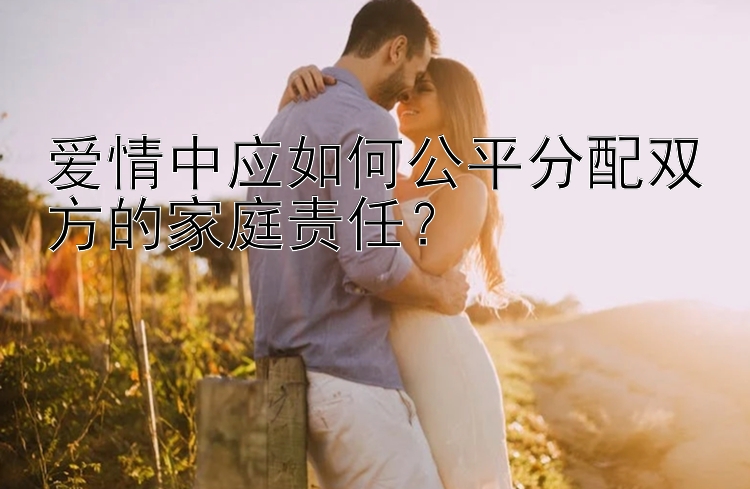 爱情中应如何公平分配双方的家庭责任？