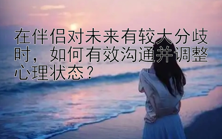 在伴侣对未来有较大分歧时，如何有效沟通并调整心理状态？