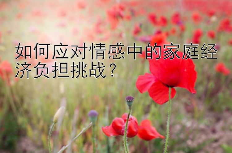 如何应对情感中的家庭经济负担挑战？