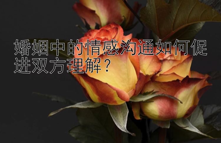 婚姻中的情感沟通如何促进双方理解？