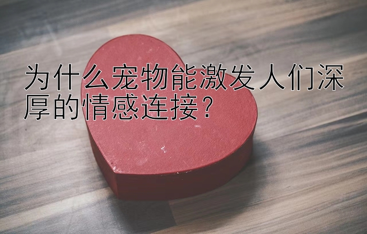 为什么宠物能激发人们深厚的情感连接？