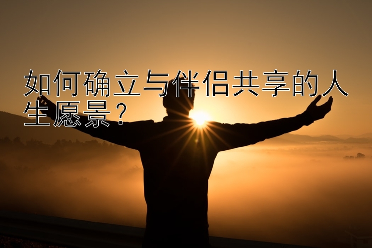 如何确立与伴侣共享的人生愿景？