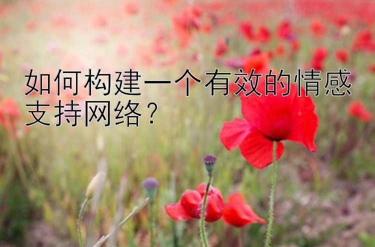 如何构建一个有效的情感支持网络？