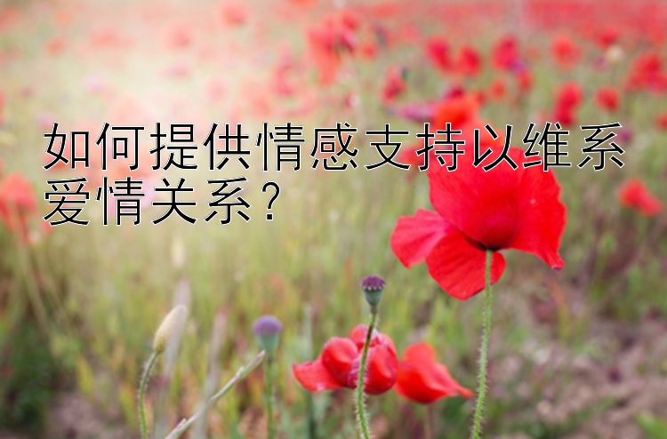 如何提供情感支持以维系爱情关系？