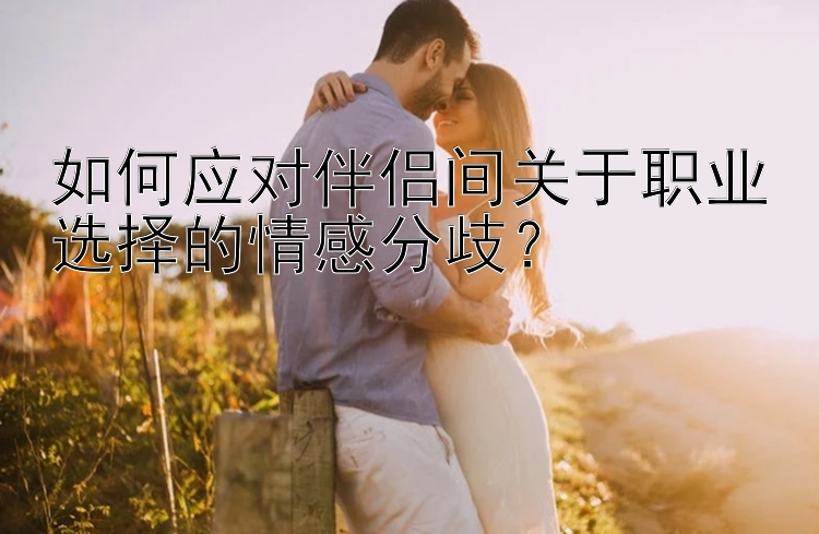 如何应对伴侣间关于职业选择的情感分歧？