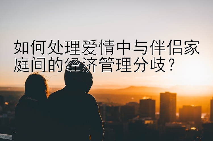 如何处理爱情中与伴侣家庭间的经济管理分歧？