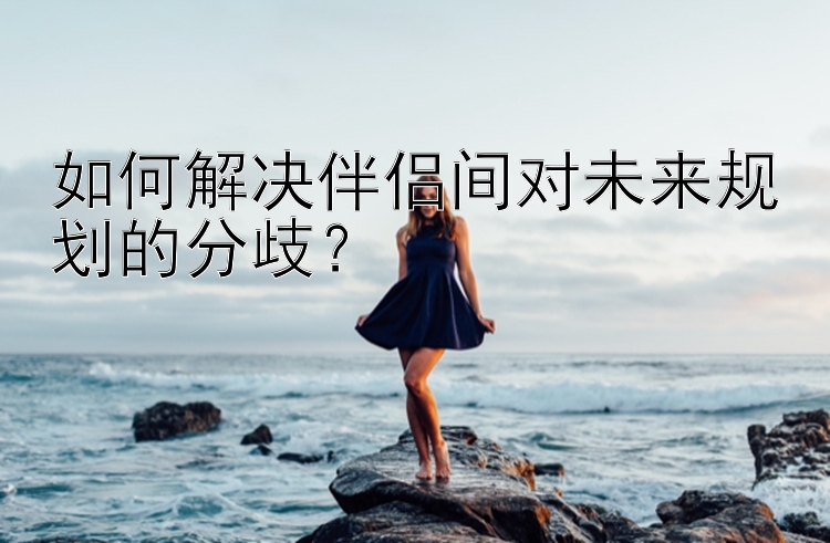 如何解决伴侣间对未来规划的分歧？