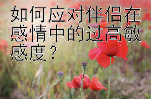 如何应对伴侣在感情中的过高敏感度？