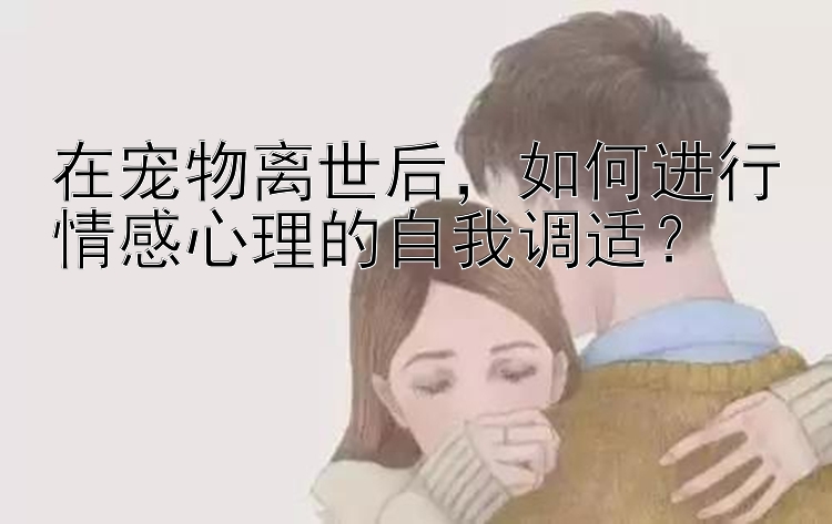 在宠物离世后，如何进行情感心理的自我调适？