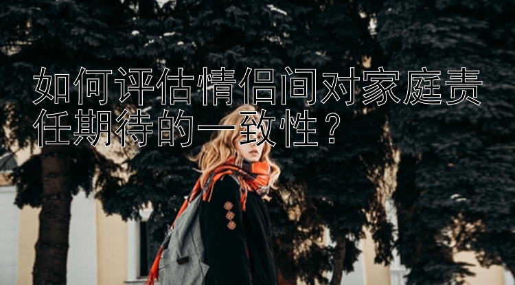 如何评估情侣间对家庭责任期待的一致性？